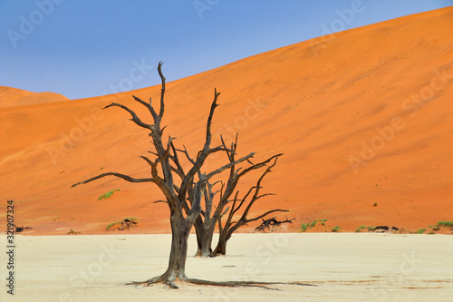 Dead Vlei (Namib-Naukluft Park) - Namibia Africa © Christian