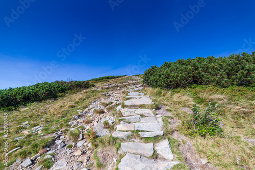 Path in polish Beskid Mountains, hiking trail to Babia Gora mountain in Poland