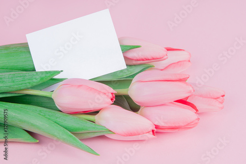 Fototapeta Naklejka Na Ścianę i Meble -  Delicate postcard flowers tulips with a note on a pink background mock up
