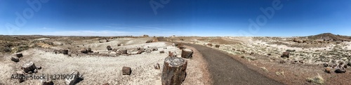 Panoramic of Petrified Forest National Park with desert horizon and walking paths