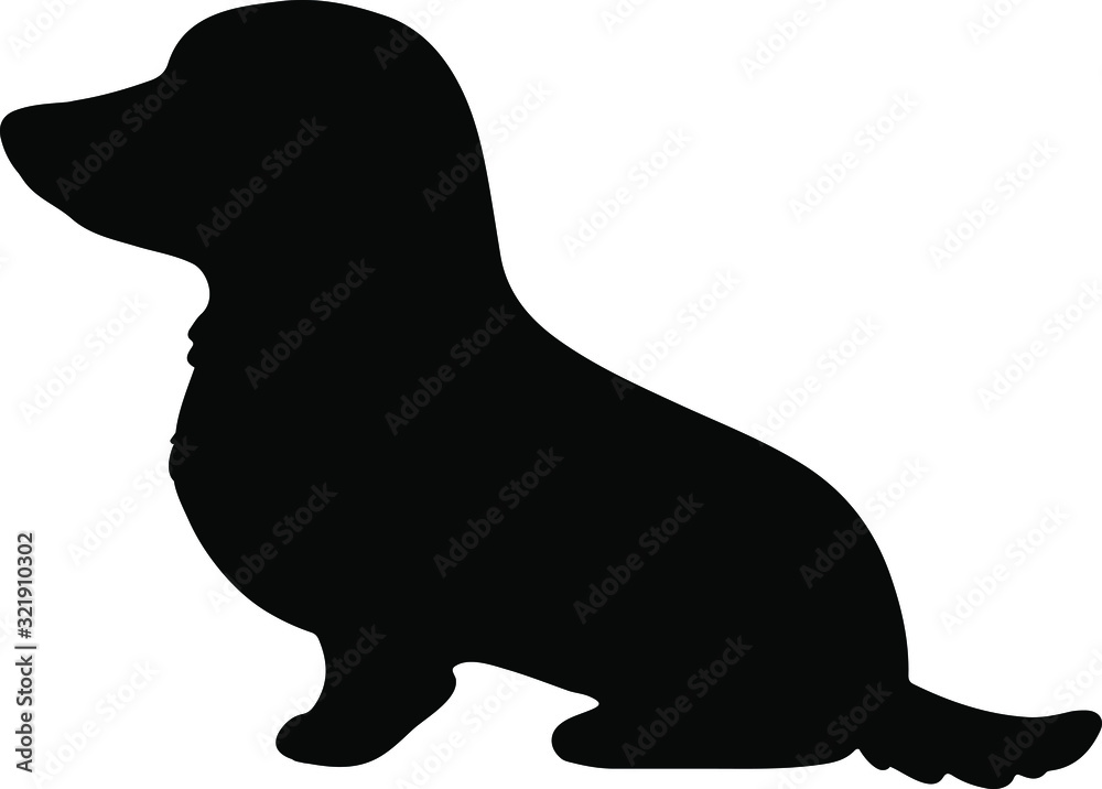 Smooth haired miniature dachshund silhouette sitting