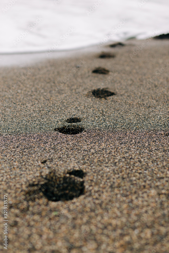 footprints on the wet sand from the sea wave on the beach footprints on the wet sand from the sea wave on the beach