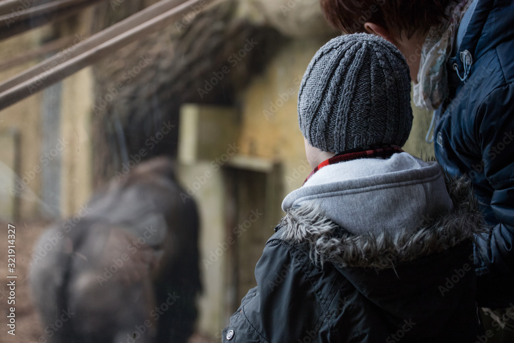 Grandson and grandmother watching animals in the zoo