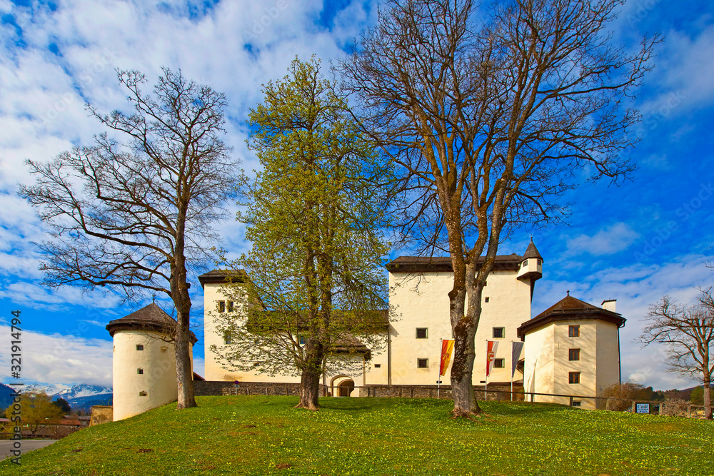 Fototapeta premium Goldegg am See im schönen Pongau