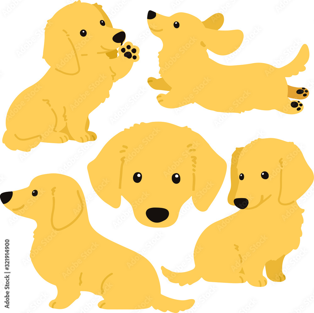 Set of flat colored cream miniature dachshund illustrations