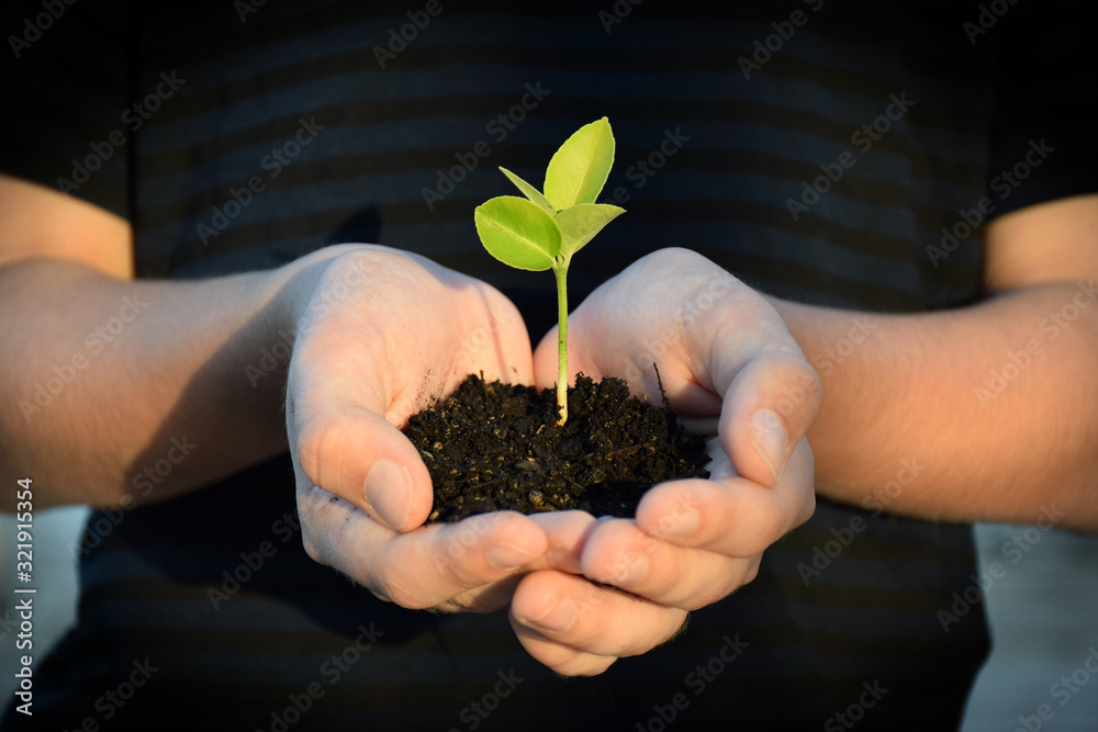 Young hands hold and nurture a brand new seedling in soil Young hands hold and nurture a brand new seedling in soil