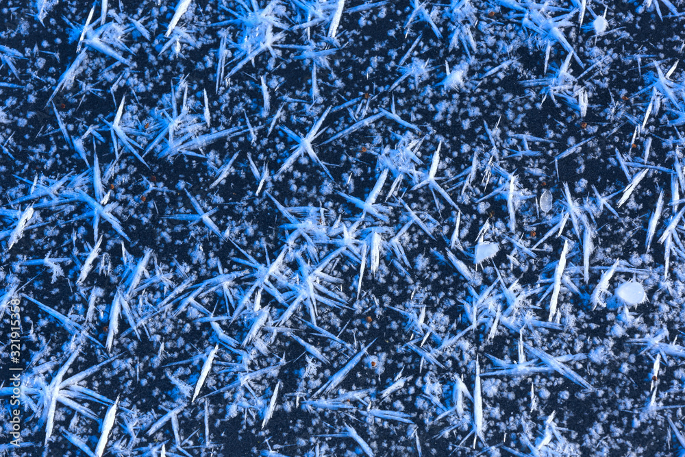  frozen snow crystals on ice