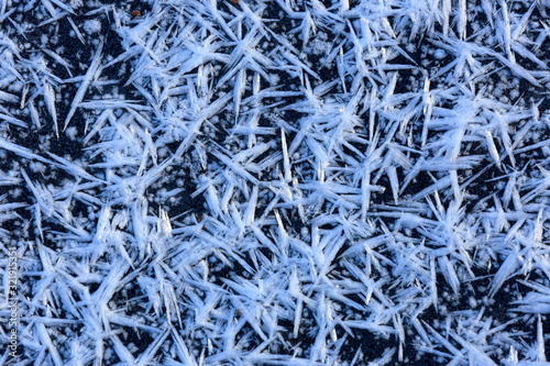 frozen snow crystals on ice