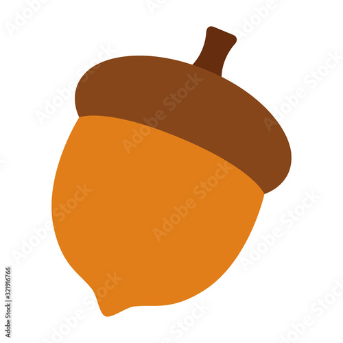 Acorn or oaknut seed flat vector color icon for nature apps and websites