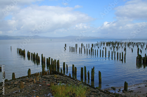 Old Pilings on the Columbia River  OR 00878 