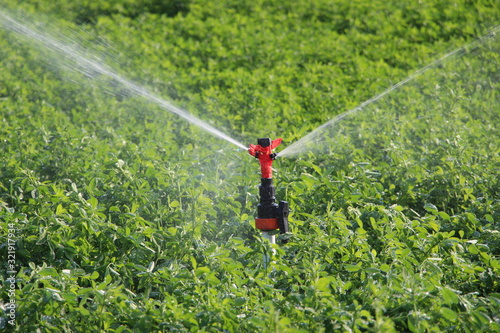 Irrigation system in a field. Sprinkler system. Close up.