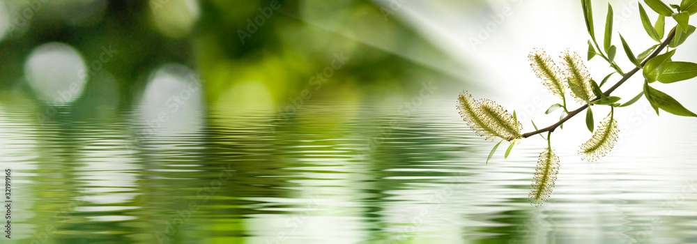 Naklejka premium image of a tree branch above the water