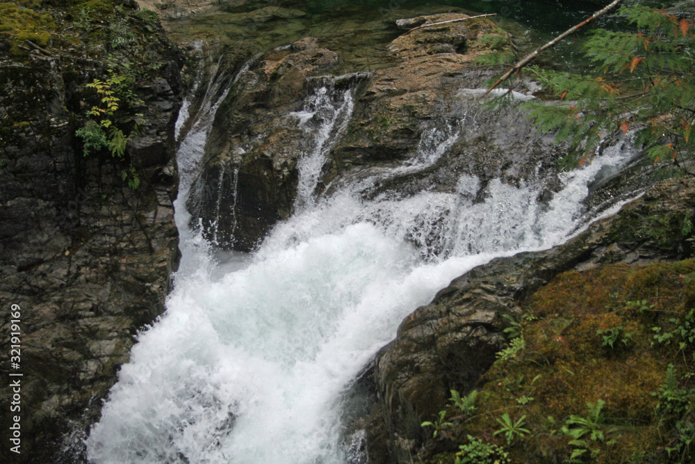 Little Qualicum Falls (BC 00726) Little Qualicum Falls (BC 00726)