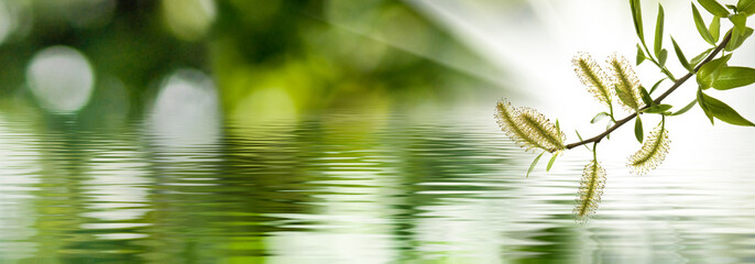 Leinwandbilder Wartezimmer Ast über stillem Wasser  © cooperr