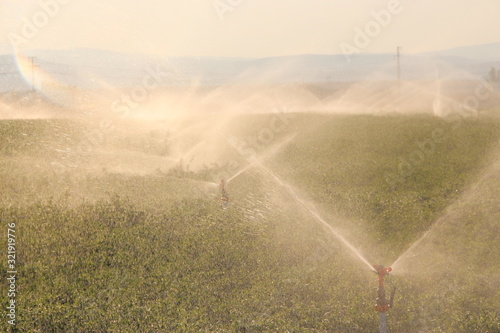 Irrigation system in a field. Sprinkler system. Close up.