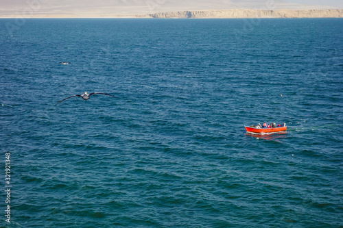 Ica/Peru: Pelicans flying around fish boat in Pacific ocean in the coast of Paracas.