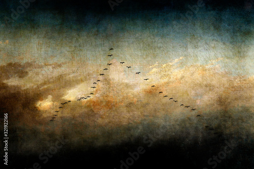 Birds silhouettes over textured background 2 photo