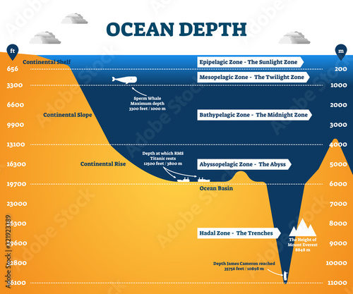 Fotografia Ocean depth zones infographic, vector illustration labeled diagram