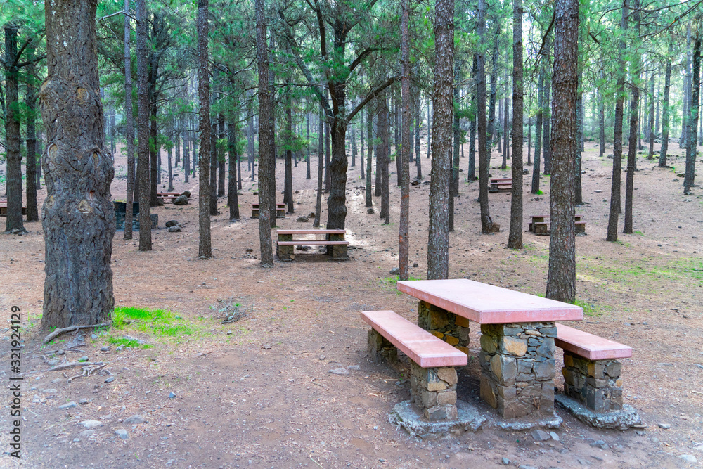 Recreation place in the woods in Gran Canaria with benches and grill spots Recreation place in the woods in Gran Canaria with benches and grill spots