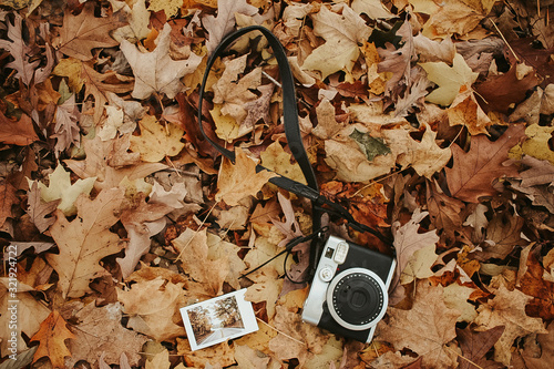 a camera and a picture on autumn leaves