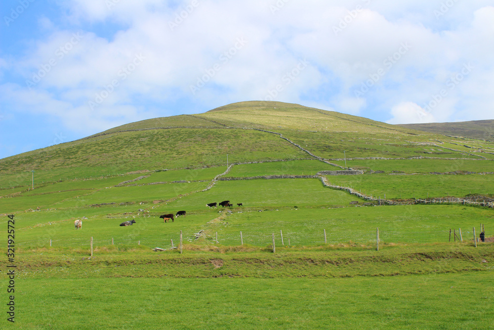 Irish Countryside (IRE 0852)