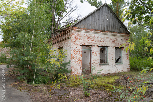 The remains of a private house overgrown with trees. Abandoned house. © vzwer
