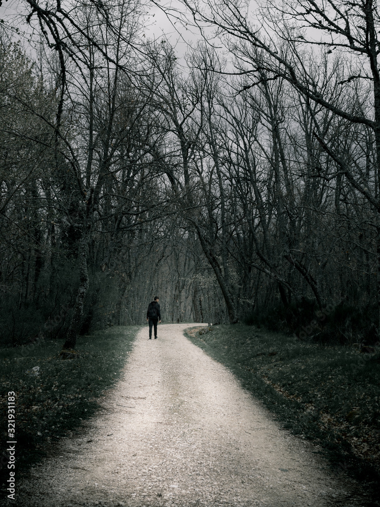 Dark forest Dark forest