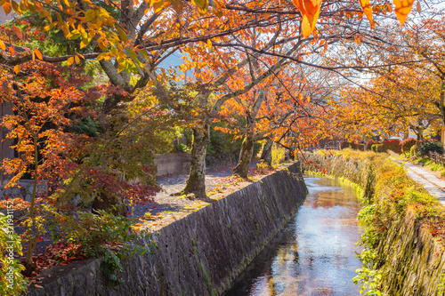 Japan. Park in Kyoto. Autum...