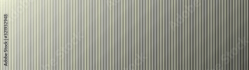 Fototapeta Naklejka Na Ścianę i Meble -  Gradient halftone. Abstract gradient background of black lines. Vector illustration.