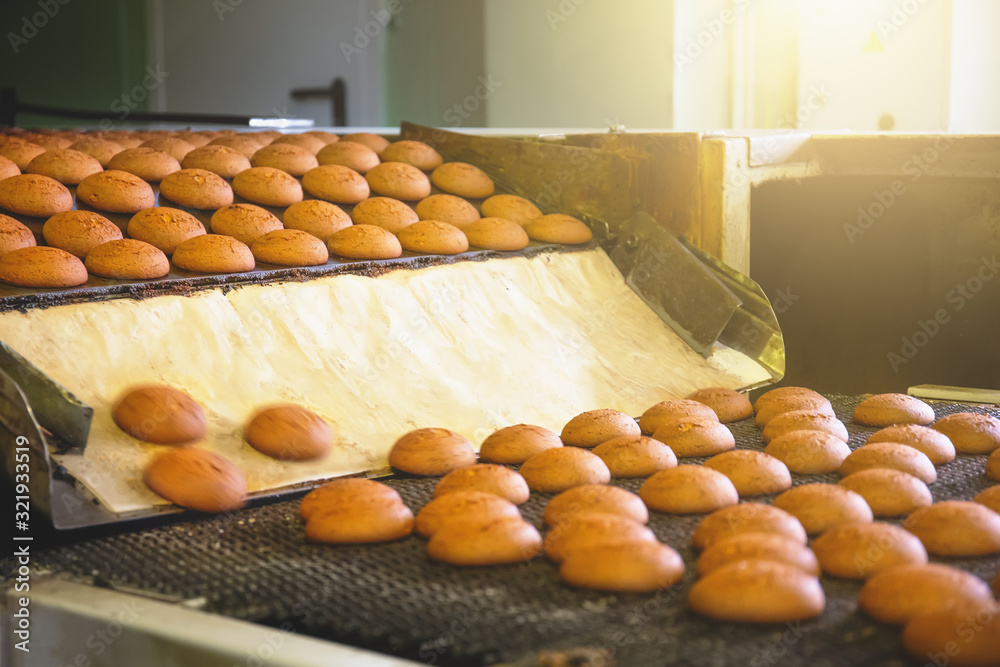 Industrial food production process. Factory or bakery conveyor belt
