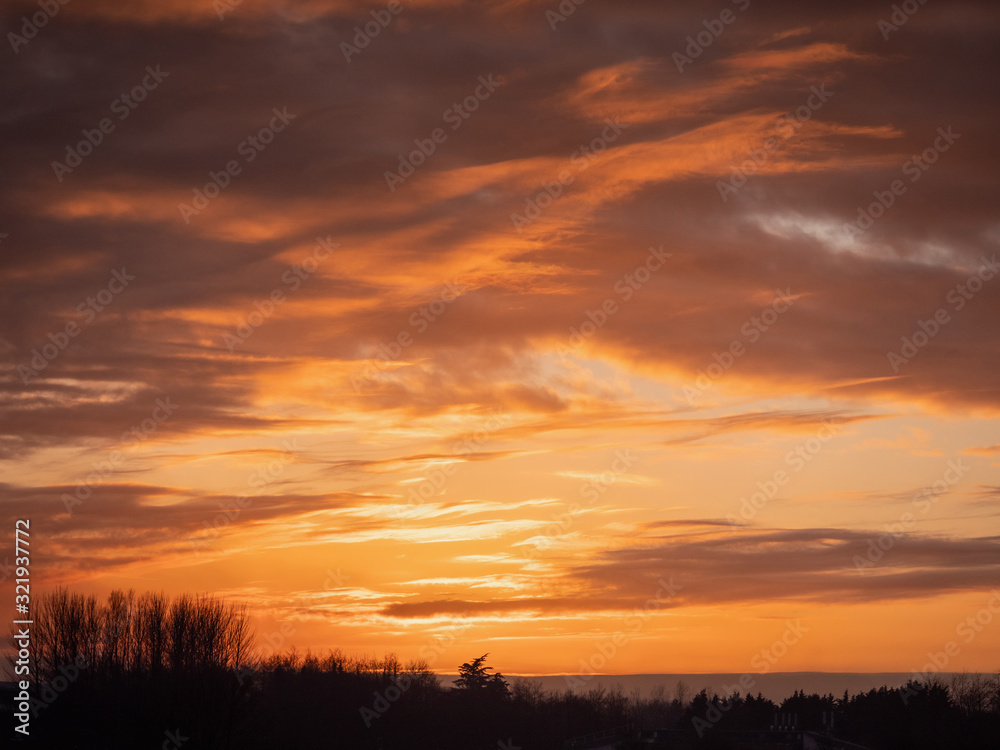 View ona beautiful warm rich in color sunset sky over forest trees silhouettes.