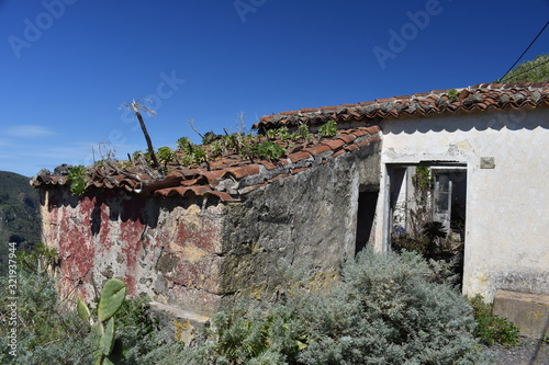 Old house taken by nature