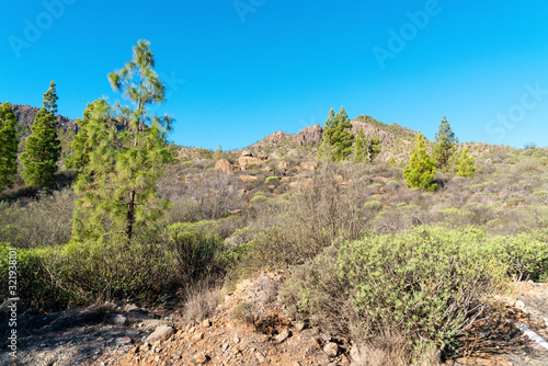 Landscape with mountains in sunny winter day in Gran Canaria