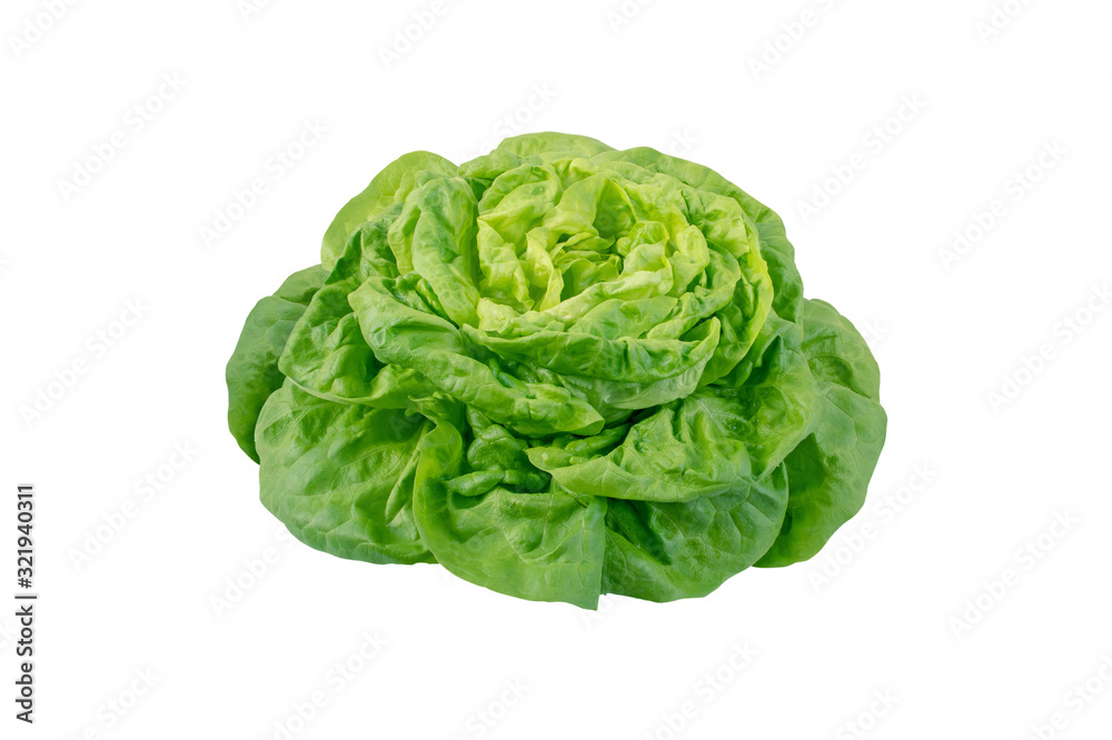 Φωτογραφία Butterhead lettuce salad head isolated on white