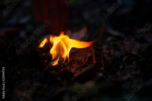 Fire in the dark. Birch bark burns. Breeding kotra at night. Background flame of a burning tree. photo