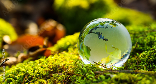 Fototapeta Naklejka Na Ścianę i Meble -  Environment 2025. golden glass globe globe of Europe, China, Africa, Asia with green moss in natural forest. Nature and golden light. Renewable energy source - ecology and sustainable protection.