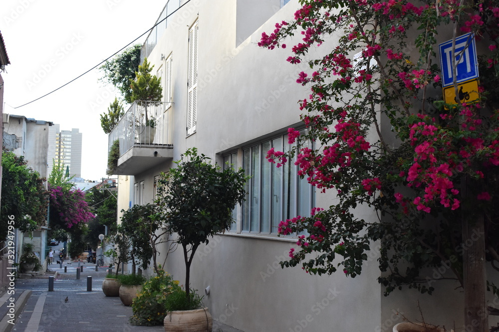Potted plants in front of a building in Florentin Tel Aviv Israel