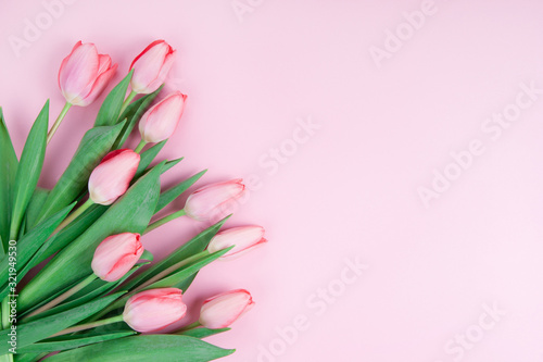Fototapeta Naklejka Na Ścianę i Meble -  Pink tulips on a pink background copy space