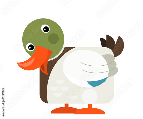 Cartoon funny duck isolated on white background - illustration © honeyflavour