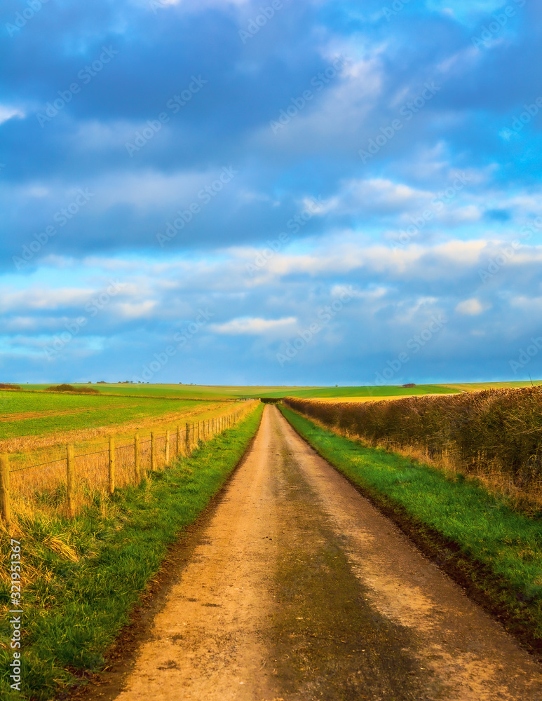 Dynamic coloured road in the field