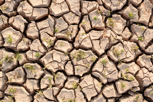 Dry soil results from lack of water.Global warming