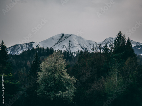 Snowy mountains in switzerland
