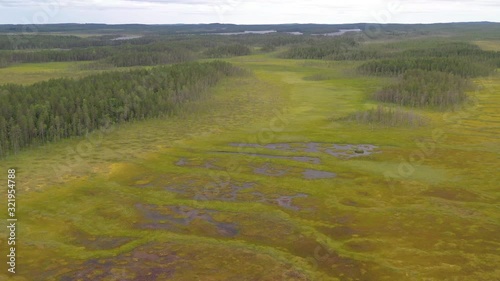 Aerial view of a bog in finalnd photo