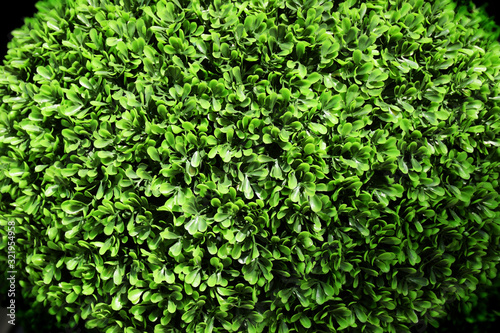 Wallpaper Mural Bright green plastic artifical plant in a spherical shape, close up Torontodigital.ca