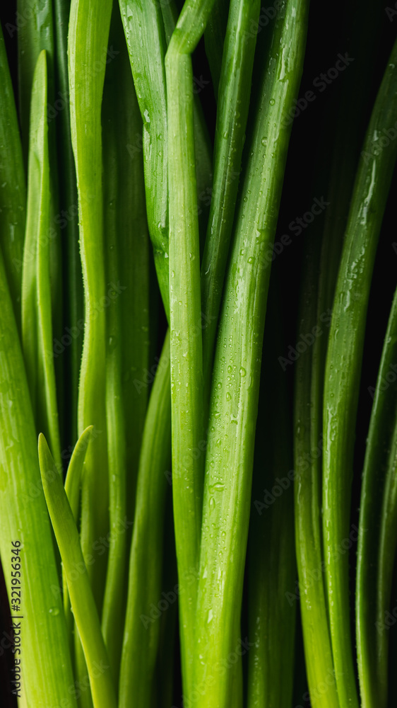 Bundle of green onion on dark wooden table close up Bundle of green onion on dark wooden table close up