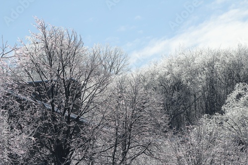 Winter view in Montreal, Canada, near the Mount Royal mountain covered by forest (a natural park) with ice-covered trees after icy rain.