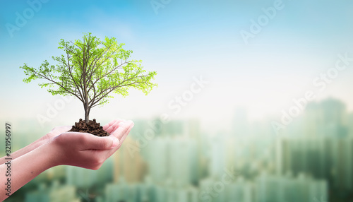 Earth day concept: Human hand holding tree over city background