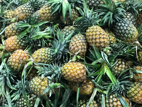 Pile of ripe pineapple, agriculture and food concept
