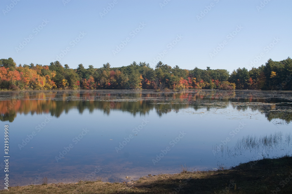 Harold State Park, Andover Mass in the Fall Harold State Park, Andover Mass in the Fall
