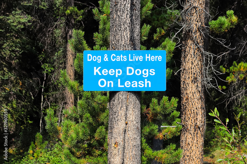 A dogs and cats live here keep dogs on leash sign